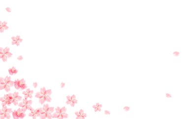 arka plan illüstrasyon kiraz çiçeği