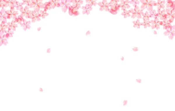 桜の花の背景イラスト — ストックベクタ