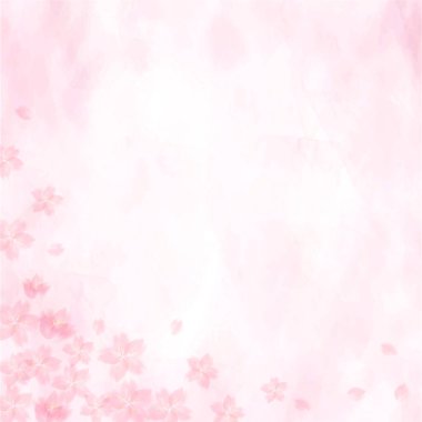 arka plan illüstrasyon kiraz çiçeği