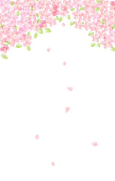 Background Illustration Leaf Cherry Blossoms — ストックベクタ