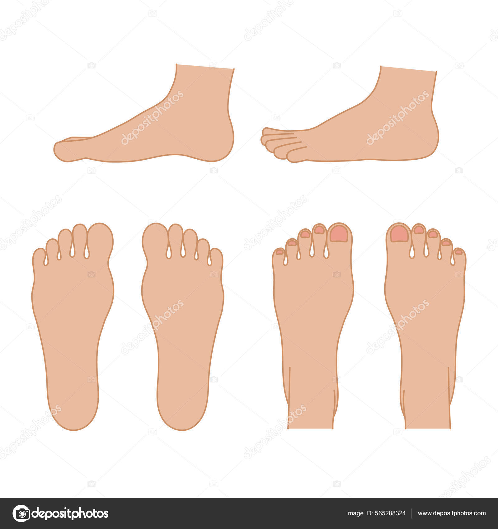 Simple Illustration Sole Instep Side Foot Easy Use Vector Material.