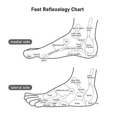 It is a monochrome illustration of the reflex zone on the side of the foot.Easy-to-use vector material.