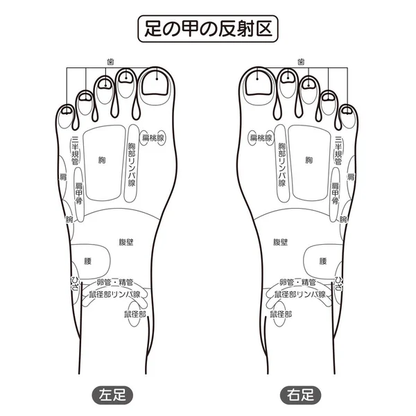 Monochrome Illustration Sole Reflex Zone Easy Use Vector Material — Stock Vector