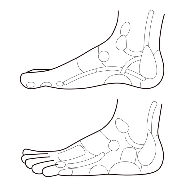 Monochrome Illustration Reflex Zone Side Foot Easy Use Vector Material — Vector de stock