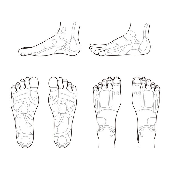It is a monochrome illustration of the reflex zone on the sole, instep, and side of the foot.Easy-to-use vector material.