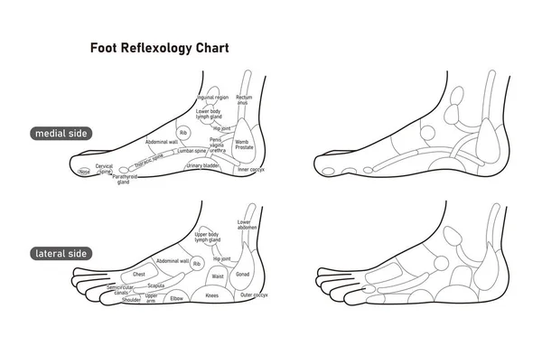 Monochrome Illustration Reflex Zone Side Foot Easy Use Vector Material — Vetor de Stock