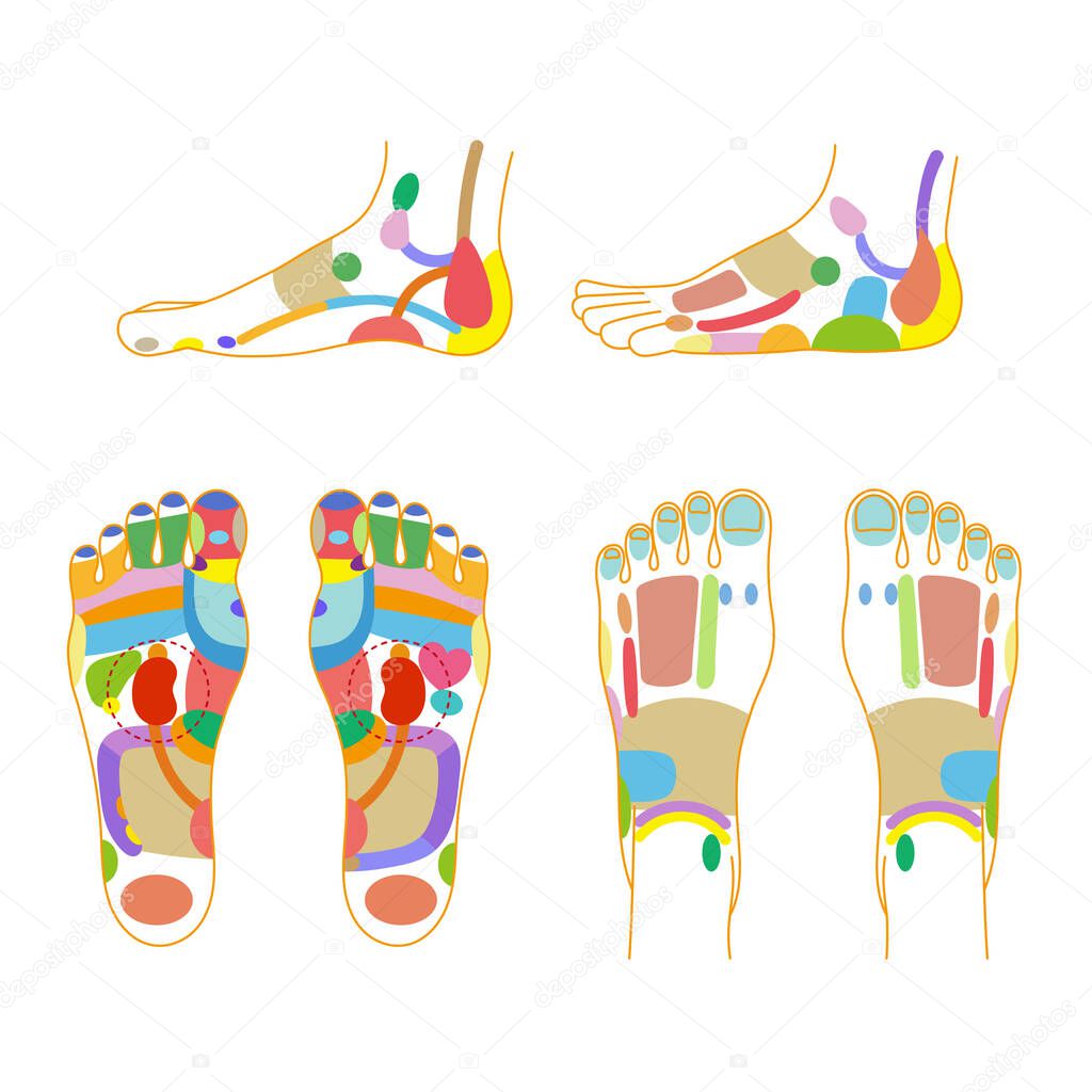 A colorful illustration set of reflex areas on the soles, insteps, and sides of the feet.Easy-to-use vector material.
