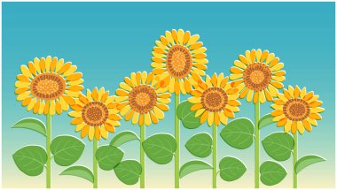 Bu çoklu güneş çiçeklerinin bir göstergesidir. Düzenlemesi kolay olan vektör verisi.