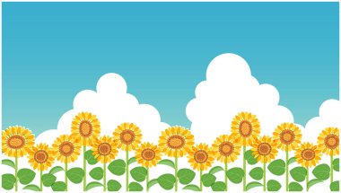 Yazın gökyüzünün ve ayçiçeği tarlasının bir göstergesidir. Düzenlemesi kolay olan vektör verisi.