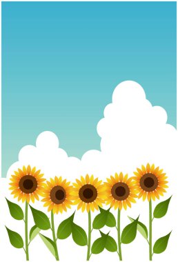 Yazın gökyüzü ve ayçiçekleri (kartpostal boyutu) .Vector verilerini düzenlemek kolay.