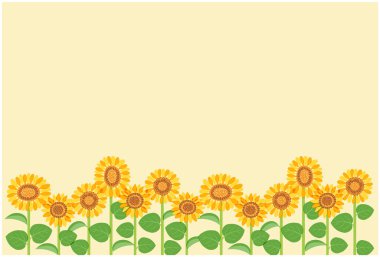 Bu, bir ayçiçeğinin (kartpostal boyutu) bir çizimidir. Düzenlemesi kolay olan vektör verisidir..