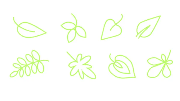 Набор Зеленых Листьев Экологического Растения Ботаническая Коллекционная Векторная Иллюстрация — стоковый вектор