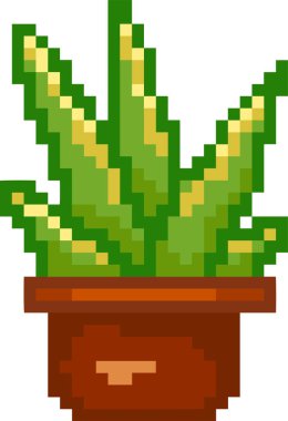 piksel bitki vektör illüstrasyon tasarımı Sansevieria çiçek saksı ikonu sanatı