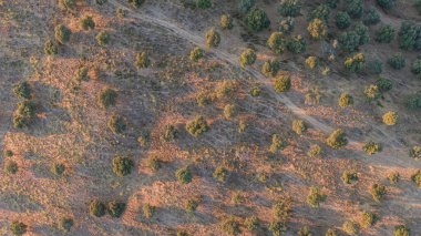 Çayır alanlarının hava görüntüsü