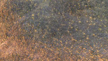 ekili alanların hava görüntüsü