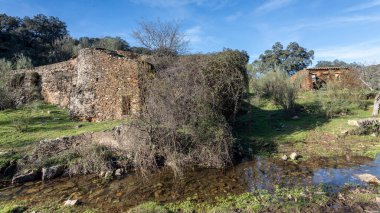 Ekstremadura çayırındaki eski terk edilmiş değirmen.
