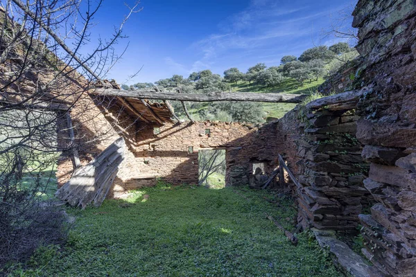 Antiguo Molino Abandonado Prado Extremadura — Foto de Stock