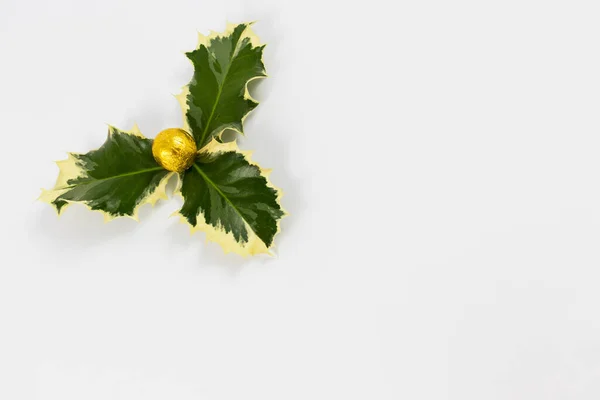 Christmas Holly Ilex Aquifolium Med Guld Insvept Choklad Boll Isolerad — Stockfoto