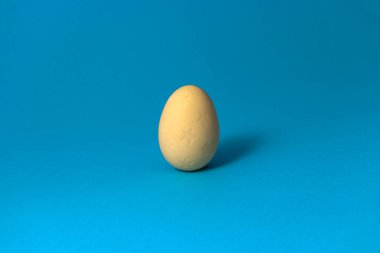 Mavi pastel arka planda yıldız desenli beyaz çikolatalı Paskalya yumurtası. Kapat..