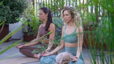  Evcil hayvanlarıyla yoga yapan iki genç ve güzel kız.