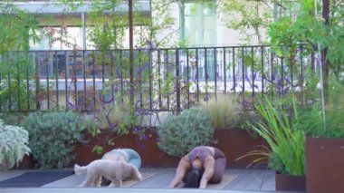 Yoga yapan iki genç ve güzel kız, tamamen koordineli.