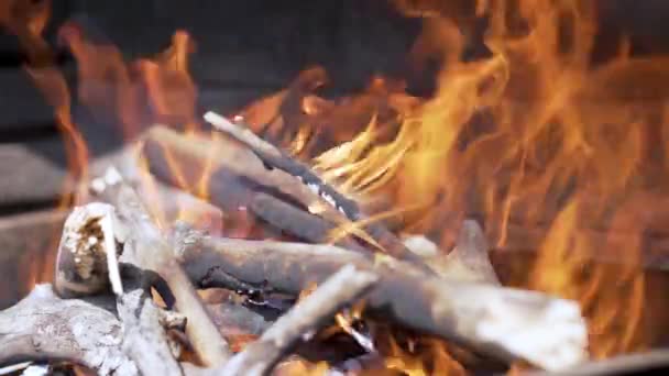 Yapma yangın Barbekü için — Stok video