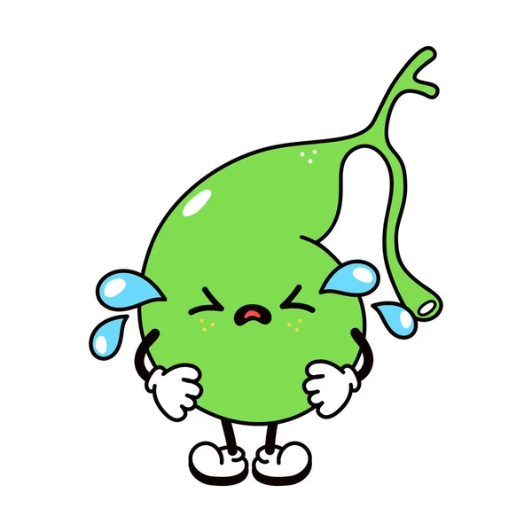 Cute funny crying sad gallbladder character. Vector hand drawn traditional cartoon vintage, retro, kawaii, doodle character illustration icon. Isolated on white background. Cry gallbladder character — Stock Vector