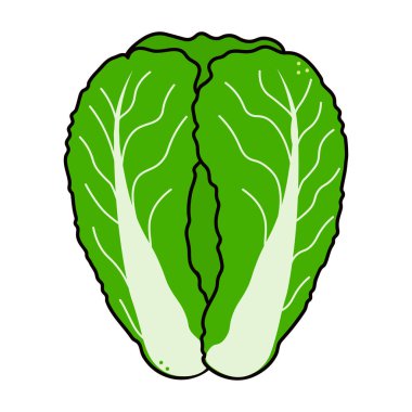 Sevimli komik Çin lahanası karakteri. Vektör el geleneksel çizgi film klasiği, retro, kawaii karakter çizimi ikonu çizdi. Beyaz arka planda izole edilmiş. lahana karakteri kavramı