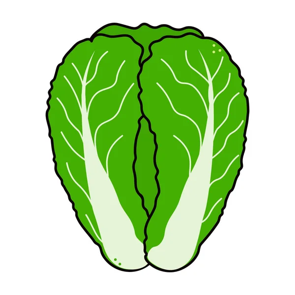 Cute Funny Chinese Cabbage Character Vector Hand Drawn Traditional Cartoon — Stock vektor