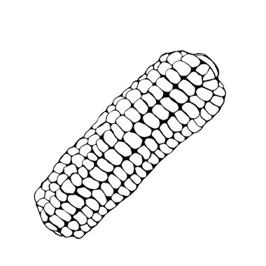 Mısır, sonbahar hasadı, kış hazırlıkları, eskiz çizgisi.