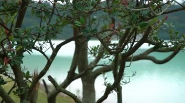 Endonezya 'nın Garut kentindeki Talaga Bodas' ın manzarası. Mavi Göl Doğal Manzara.