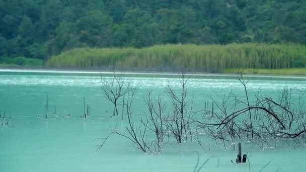 Widok na naturalną turystykę Bodas Lake, Garut, Indonezja. Błękitne jezioro z widokiem na góry z zielonymi lasami — Wideo stockowe