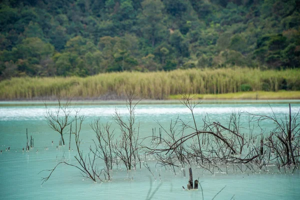 A vista do Lago Azul e as Montanhas naturalmente verdes — Fotografia de Stock