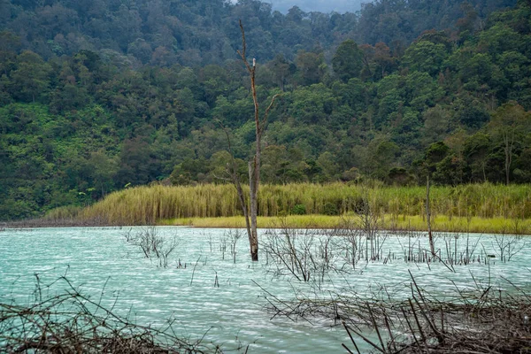 Der Blick auf den Blauen See und die natürlich grünen Berge — Stockfoto