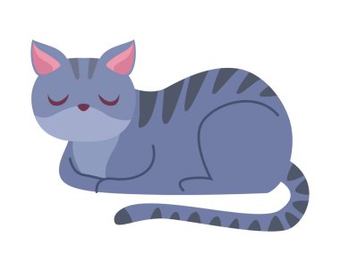 Şirin kedi maskotu.