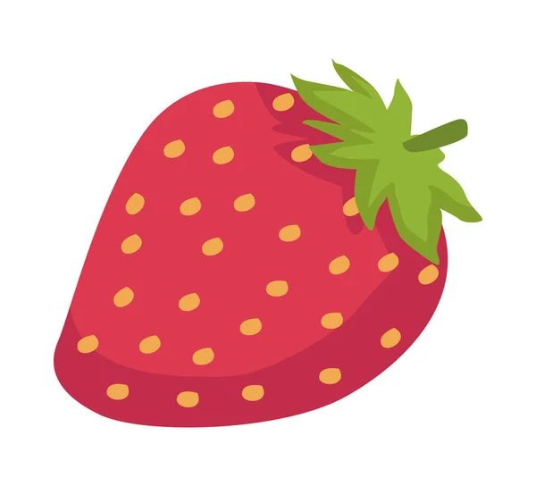 신선 한 딸기 열매 — 스톡 벡터