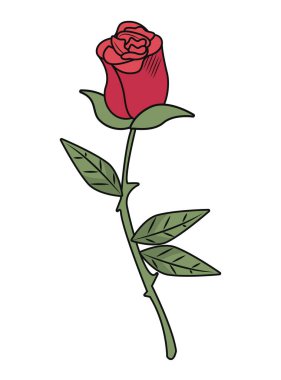 kırmızı gül çiçek