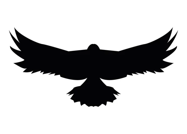 Silhouette d'aigle animal sauvage — Image vectorielle
