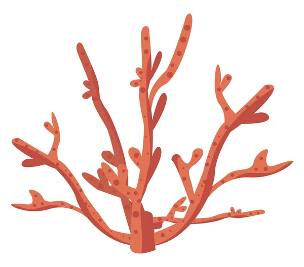 Morski wodorosty czerwone — Wektor stockowy