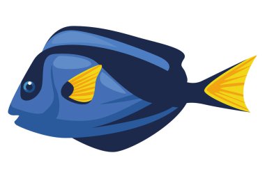 Genç kız balığı egzotik