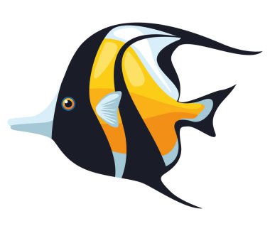 Moorish idol balığı egzotik.