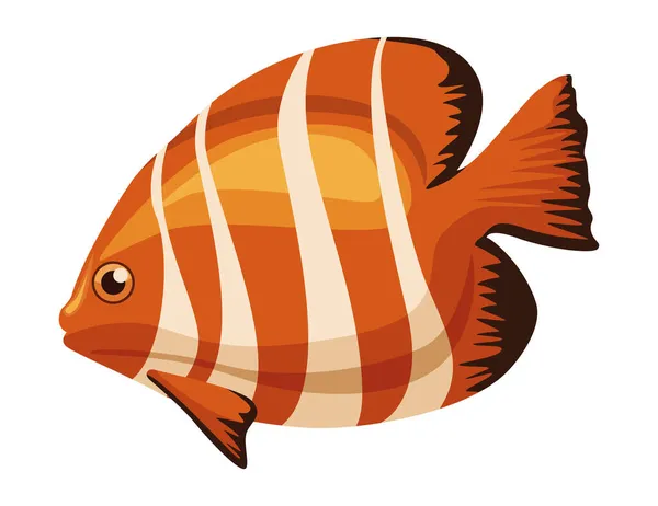 Peixe-palhaço animal exótico — Vetor de Stock