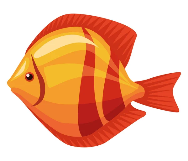 Золота рибка екзотична тварина — стоковий вектор