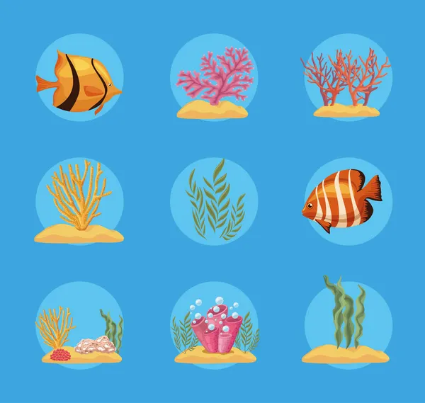 Дев'ять морських життєвих ікон — стоковий вектор