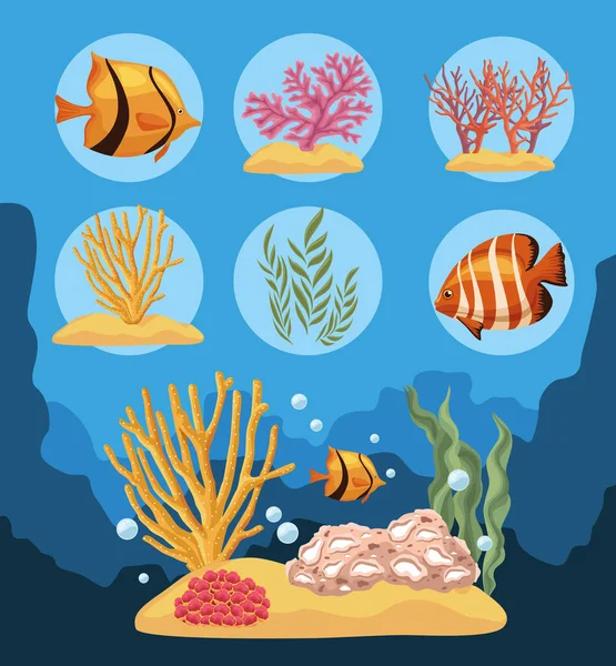 Сім значків морського життя — стоковий вектор