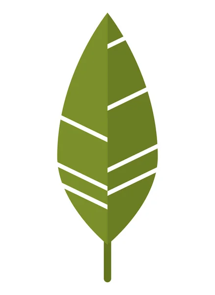 Ecología naturaleza hoja — Vector de stock