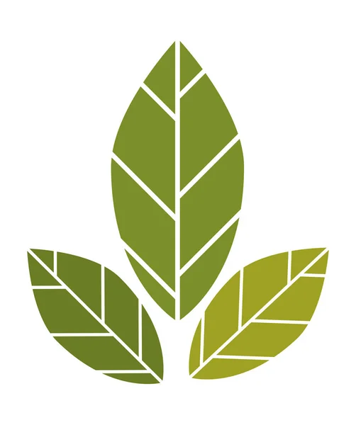 Plante à trois feuilles — Image vectorielle