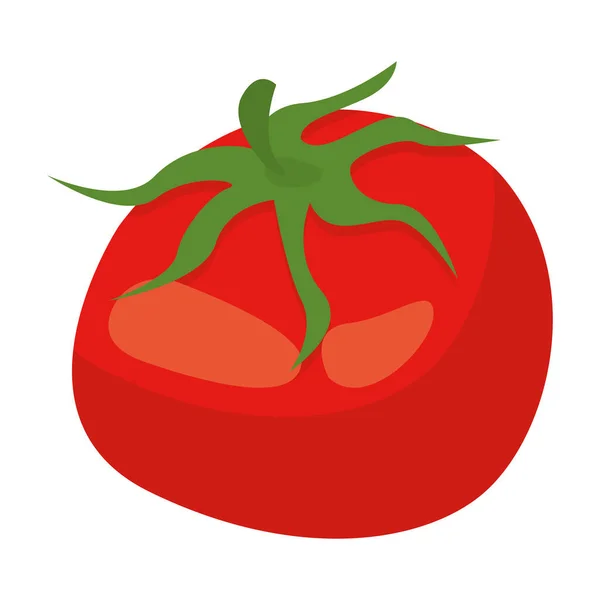 Fresh tomato vegetable — Stock Vector