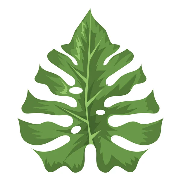 Tropical and exotic leaf — 图库矢量图片