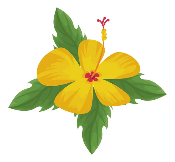 Egzotyczny kwiat żółty — Wektor stockowy